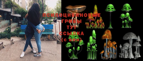 ГАЛЛЮЦИНОГЕННЫЕ ГРИБЫ Алексин
