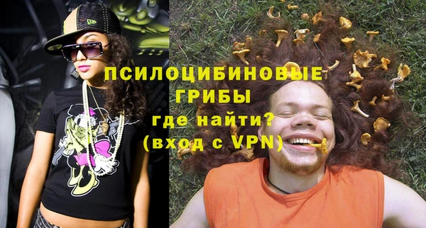 ГАЛЛЮЦИНОГЕННЫЕ ГРИБЫ Алексин