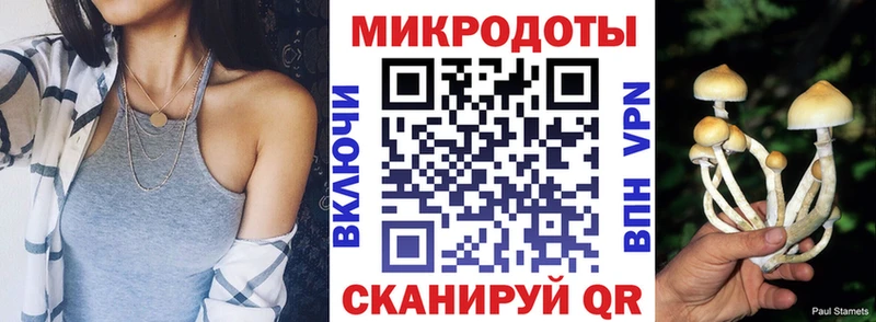 Псилоцибиновые грибы мицелий  Алексин 