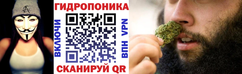 Бошки марихуана OG Kush MEGA рабочий сайт Алексин